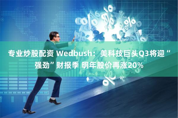 专业炒股配资 Wedbush：美科技巨头Q3将迎“强劲”财报季 明年股价再涨20%