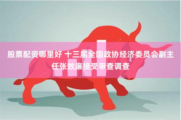 股票配资哪里好 十三届全国政协经济委员会副主任张效廉接受审查调查