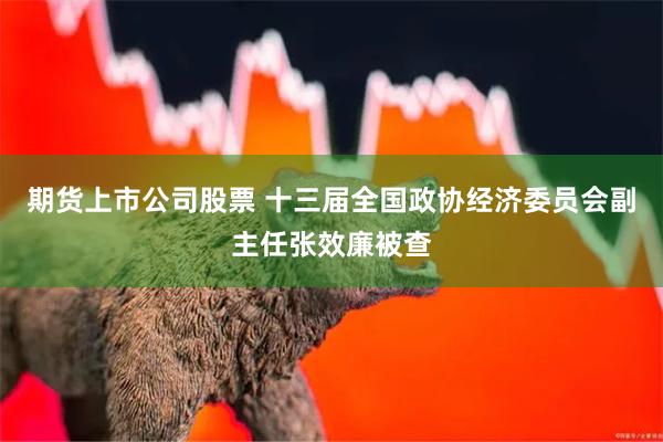 期货上市公司股票 十三届全国政协经济委员会副主任张效廉被查