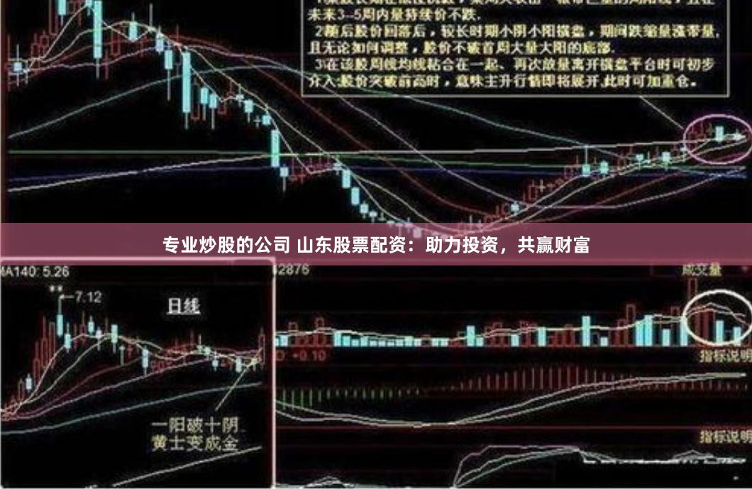 专业炒股的公司 山东股票配资：助力投资，共赢财富