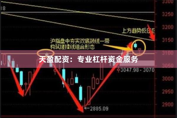 天盈配资：专业杠杆资金服务