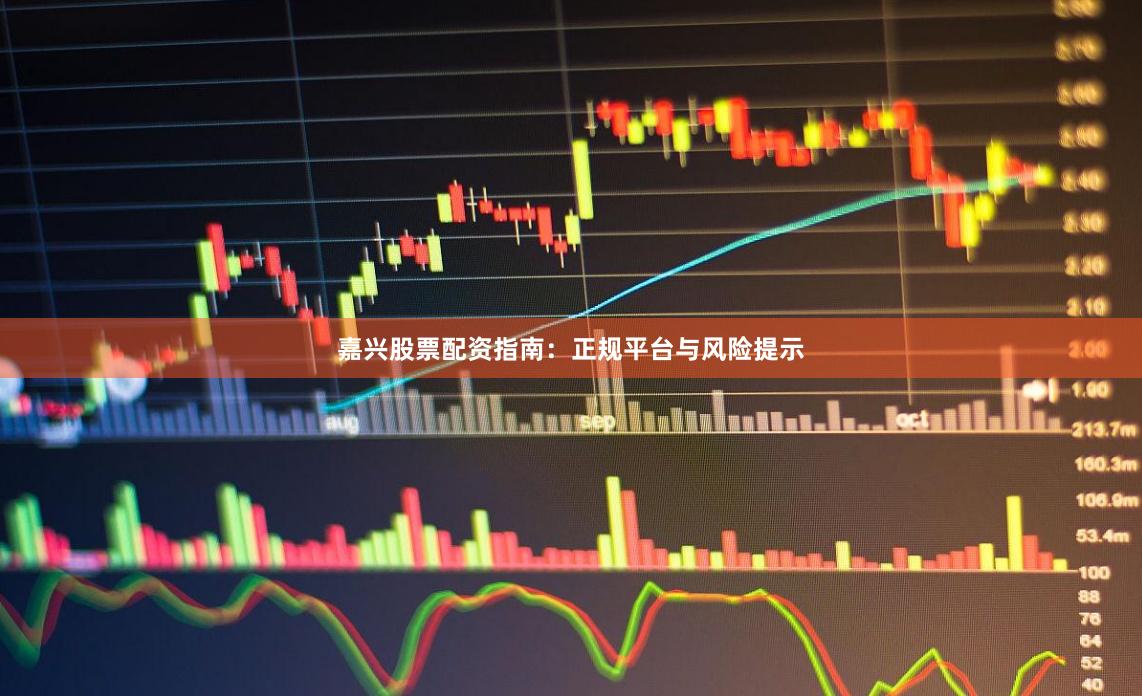 嘉兴股票配资指南：正规平台与风险提示