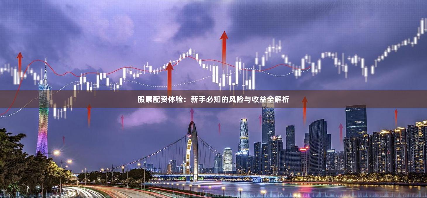 股票配资体验：新手必知的风险与收益全解析